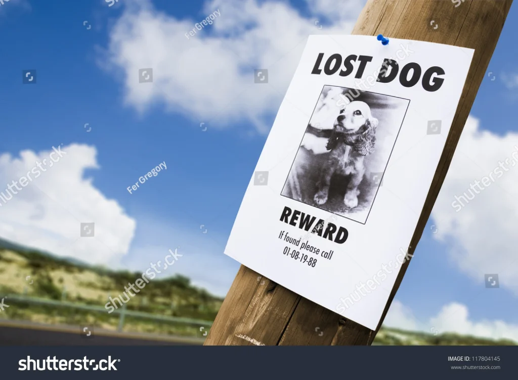 The Home Again Pet Recovery